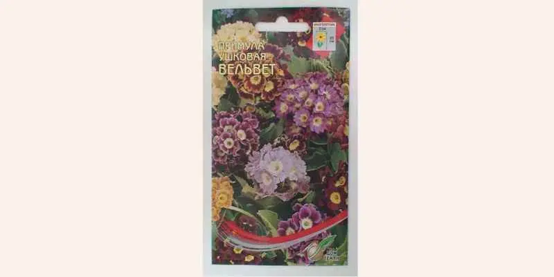 Примула Ушковая