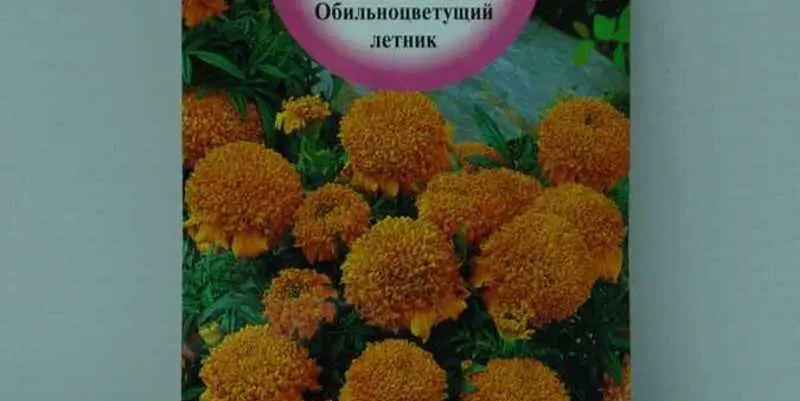 Бархатцы Купидон Оранжевые