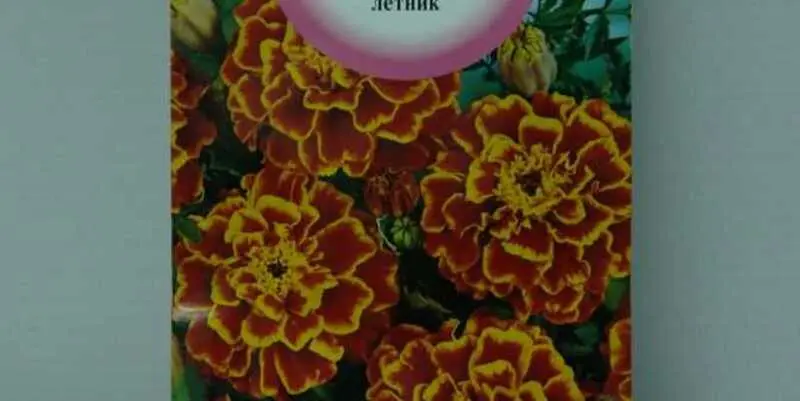 Бархатцы Фиеста