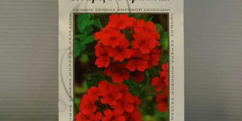 Вербена Кварц (красная)