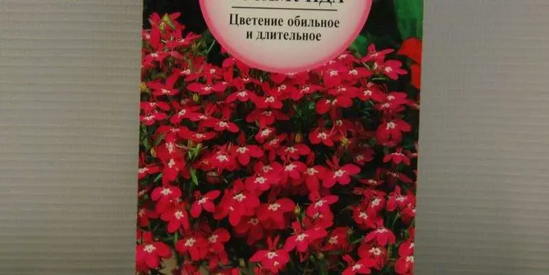 Лобелия Розамунда