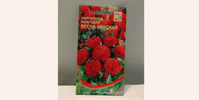Маргаритка Махровая Весна Красная