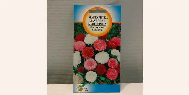 Маргаритка Махровая Монтероза