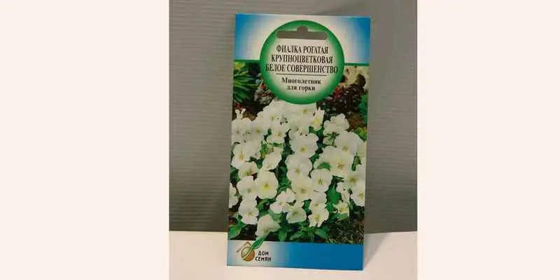 Фиалка Рогатая Крупноцветковая Белое Совершенство