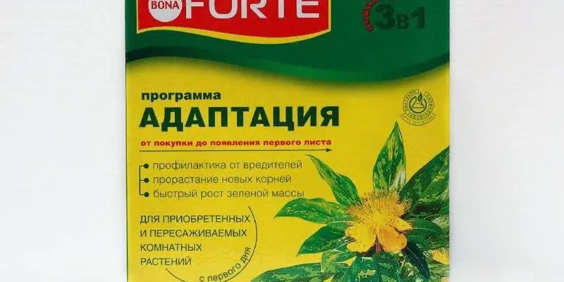 Бона Форте Адаптация  250мл 