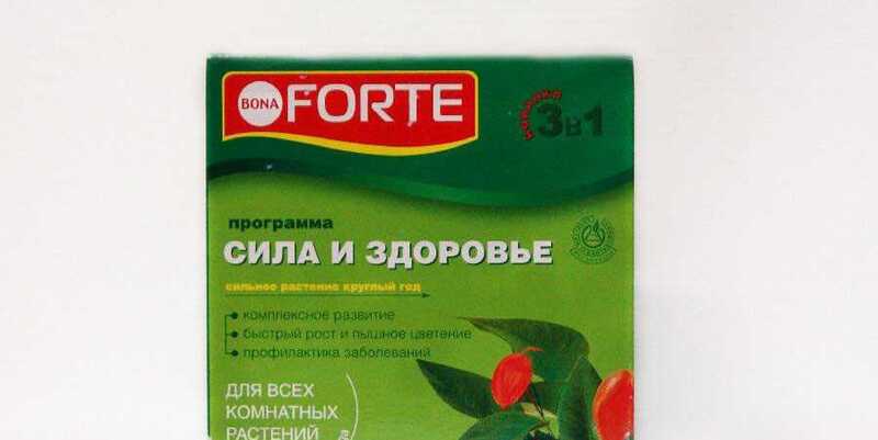 Бона Форте Программа Сила и Здоровье