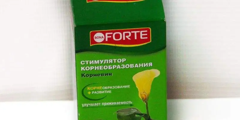 Бона Форте Стимулятор Корнеобразования 5г.