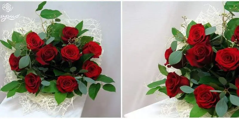 Алые Небеса