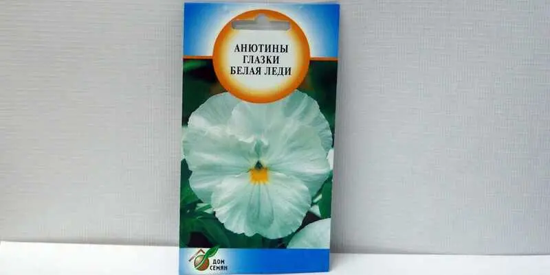 Анютины Глазки Белая Леди