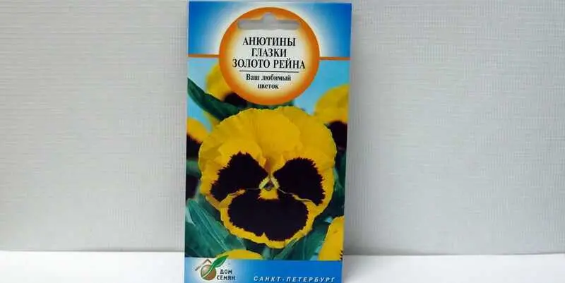 Анютины Глазки Золото Рейна