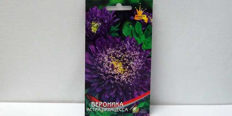 Астра Принцесса Вероника 