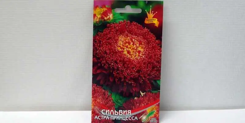 Астра Принцесса Сильвия