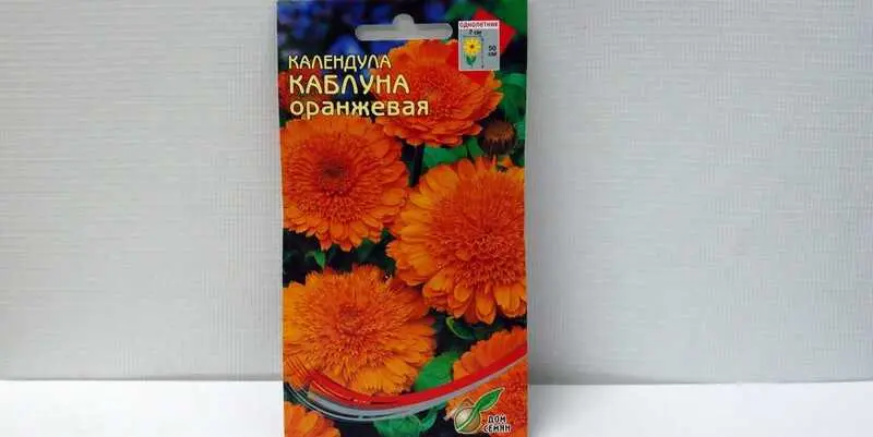 Каленула Каблуна оранжевая 